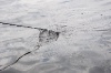 20120607_ (136)